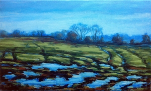 Winter field