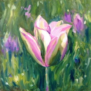 Morning tulip